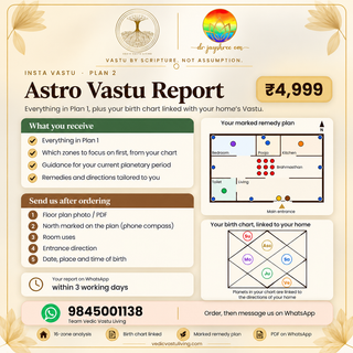 Insta Vastu: Astro Vastu Report (Plan 2)
