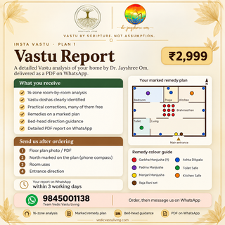 Insta Vastu: Vastu Report (Plan 1)
