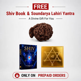 Ganesh Mukhi Rudraksha with free Shiv book and Soundarya Lahiri Yantra offer on prepaid orders