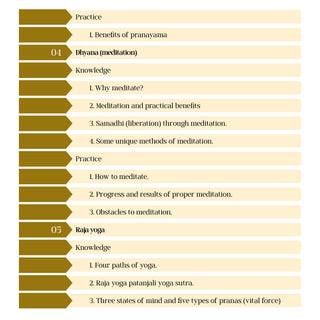 Table of contents for Spirituality Simplified - Chapter 4 dhyana meditation, Chapter 5 raja yoga