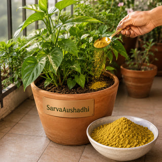SarvaAushadhi powder remedy applied to potted plants, part of the Vastu Wellness Kit